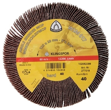 KLINGSPOR lamelový radiální kotouč WSM 617 125x20 M14